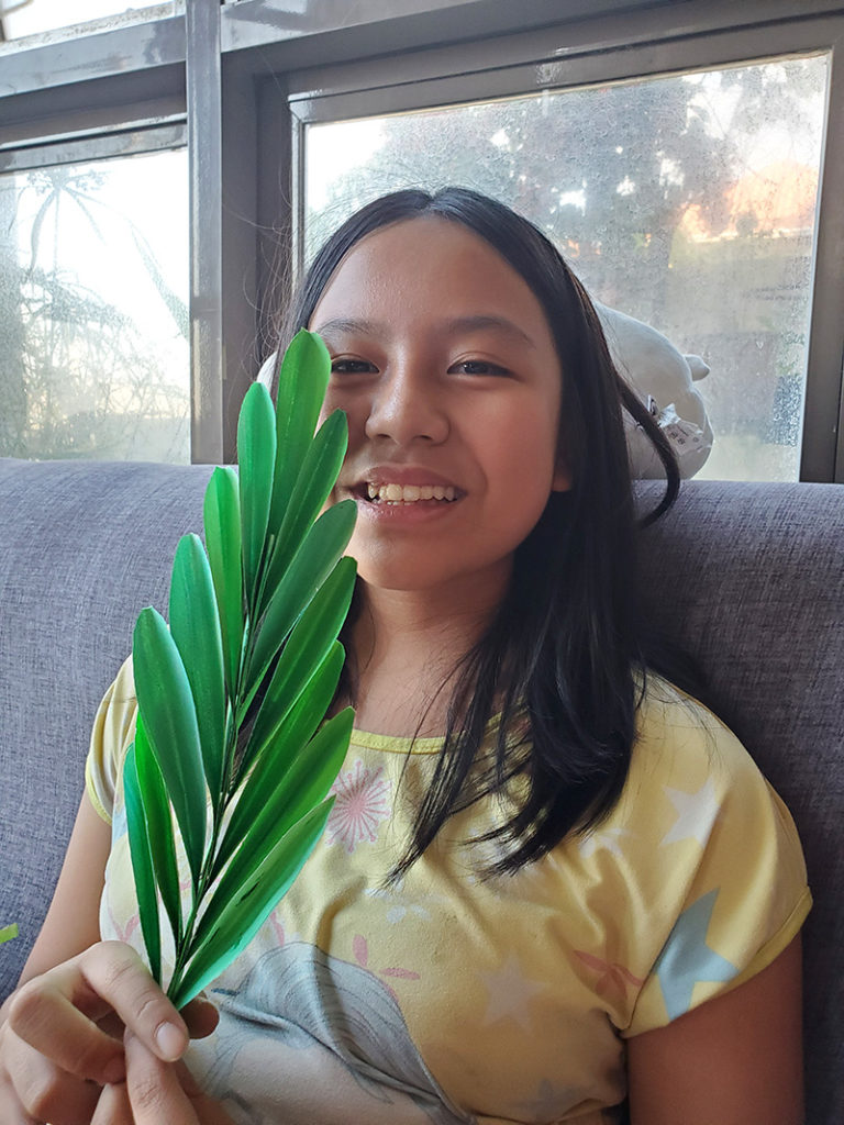 Palm Sunday Craft Activity