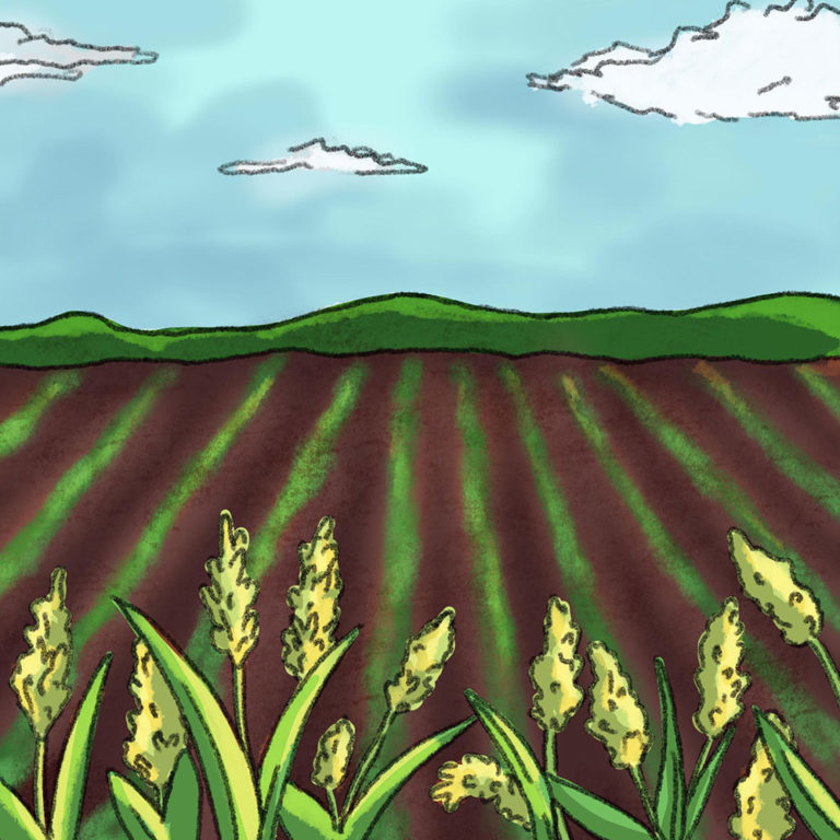 Agriculture