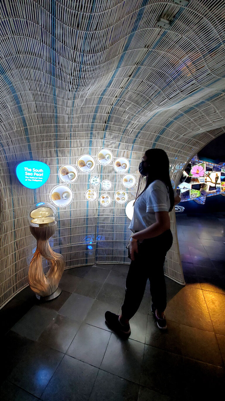 Wonder Wednesday – Mind Museum